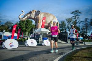 BIB: 
                            <button type="button" onclick="openModal(26541680)" class="btn btn-primary btn-sm float-right btn-popup" data-toggle="modal" data-target=".modal-high-quality">
                        <i class="fas fa-shopping-cart"></i> Add to Cart
                    </button>
                                            <button type="button" onclick="isThisMe(26541680, true)" class="btn btn-success btn-sm float-right btn-popup btn-isme hidden" data-toggle="tooltip" data-placement="bottom" title="นี่คือรูปของคุณใช่ไหม คลิกที่นี่เพื่อเอาเข้าอัลบั้ม">
                        <i class="fas fa-plus"></i> Add to album
                    </button>
                    <button type="button" onclick="isThisMe(26541680, false)" class="btn btn-warning btn-sm float-right btn-popup btn-isnotme hidden">
                        <i class="fas fa-ban"></i> Remove from album
                    </button>